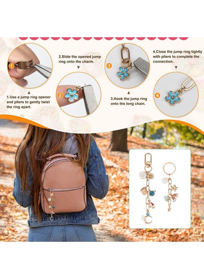 Starry 348Pcs Keychain Making Kit Bag Charm Kit 126 Charms 20 Keychain Clips with Key Ring Jewelry Plier,30 Extender Chain Swivel Snap Hooks Gold Charms 150 Jump Ring DIY Craft Supplies - Image 3