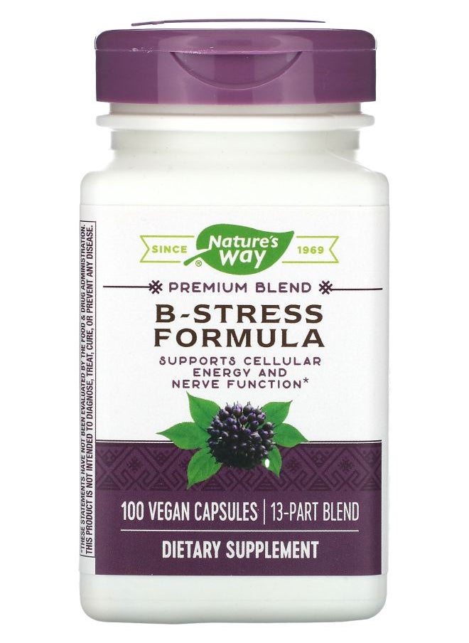 Nature's Premium Blend BStress Formula 100 Vegan Capsules 