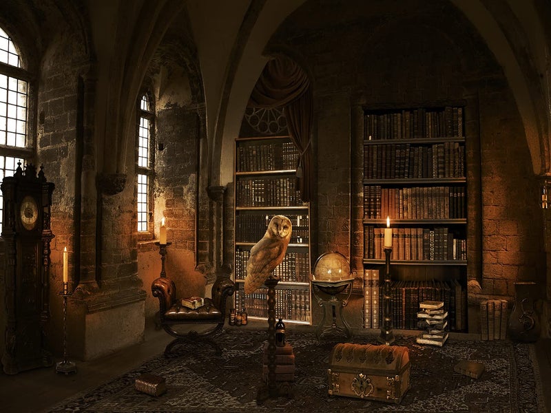 OUYIDA Halloween Backdrop for Photography Wizard Magic School Bookshelf Bookcase Candle Owl Ancient Library Background for Party Decoration Banner Supplies Photo Studio Booth Props 8X6FT CEM214C - Image 1