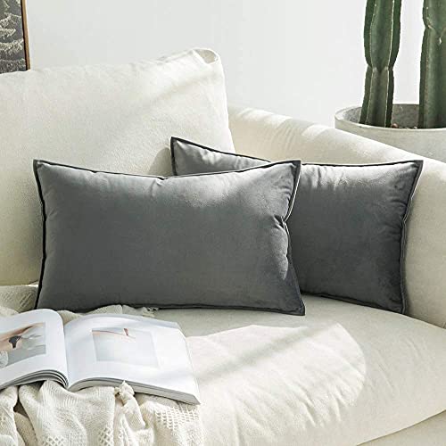 Blue Monkey Soft Velvet Cushion Cover Soft Throw Pillow Cover Pack of 2, Solid Square Cushion Case (18x27, Grey) - Image 1