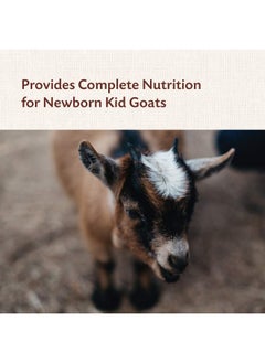 Colostrum Supplement For Newborn Goat Kids | Helps Promote Healthy Development | 8Oz - pzsku/ZA7DDA2DBF826F413AE85Z/45/_/1726221994/de5acc11-bf43-4472-8a6b-e55c4aa5ce05