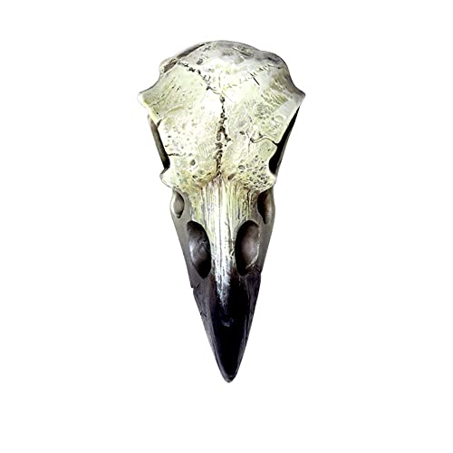 Alchemy Gothic ألكيمي غوثيك ذا فولت V66 رليكواري جمجمة الغراب بولي ريزين - Image 1
