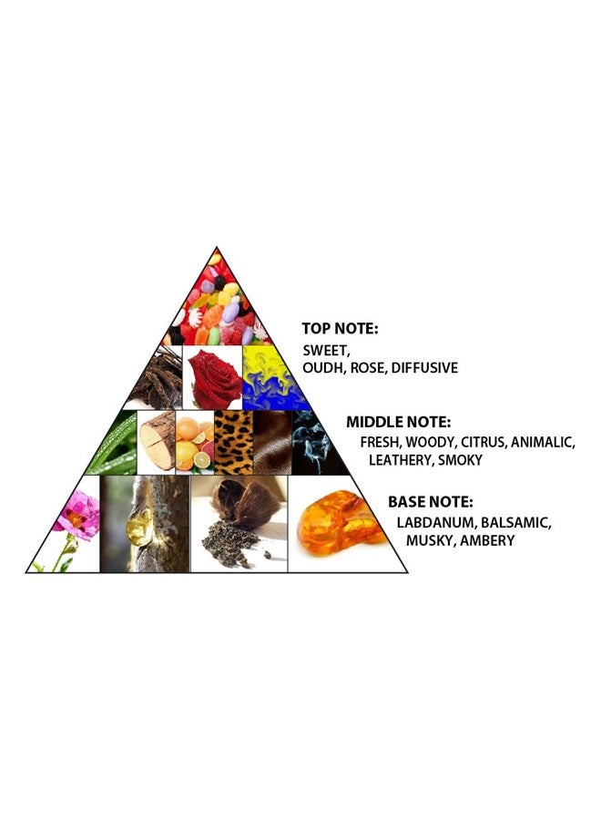 Al Haramain Haramain Oudi 12ml Concentrated Perfume Oil Luxurious Arabian Attar of Timeless Elegance and Lasting Oud Perfection - Image 5