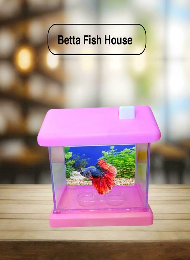 Plastic Fish Tank, Aquarium Container - Image 5