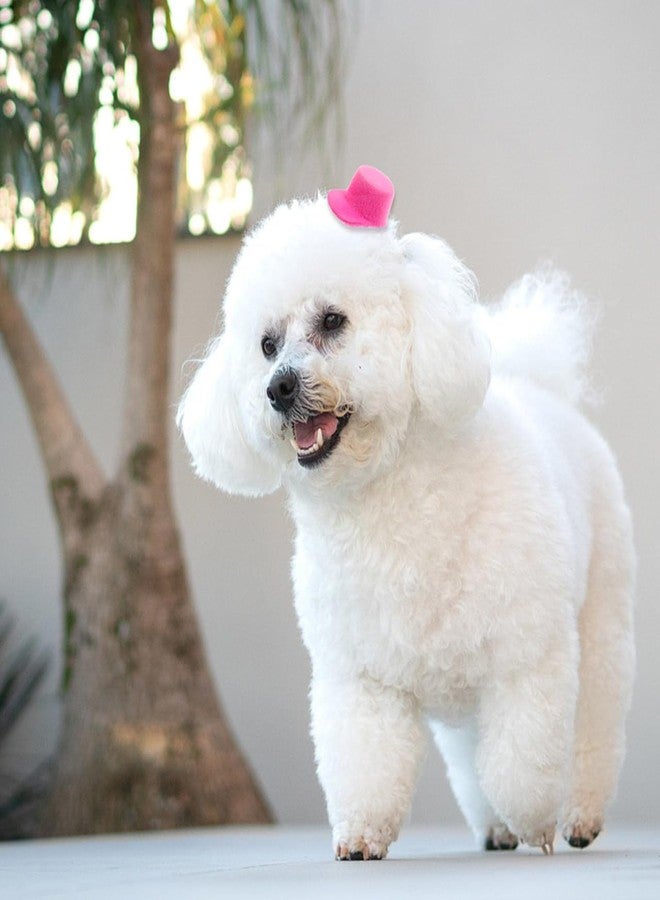 Vaguelly 6pcs Miniature Baseball Caps Mini Doll Hats Party Dress Hat for DIY Crafts Hair Accessories Dollhouse Decoration - Image 3