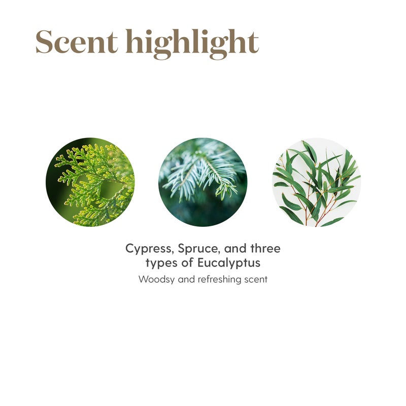 Young Living R.C. Essential Oil Blend | 15ml | A Powerful Combination of Cypress, Spruce, Myrtle, Pine, Eucalyptus Essential Oil, and More for a Refreshing and Uplifting Aroma - Image 5