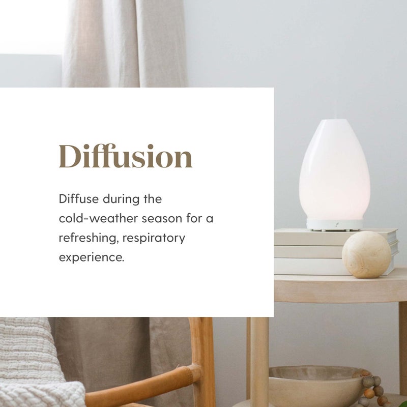 Young Living R.C. Essential Oil Blend | 15ml | A Powerful Combination of Cypress, Spruce, Myrtle, Pine, Eucalyptus Essential Oil, and More for a Refreshing and Uplifting Aroma - Image 3