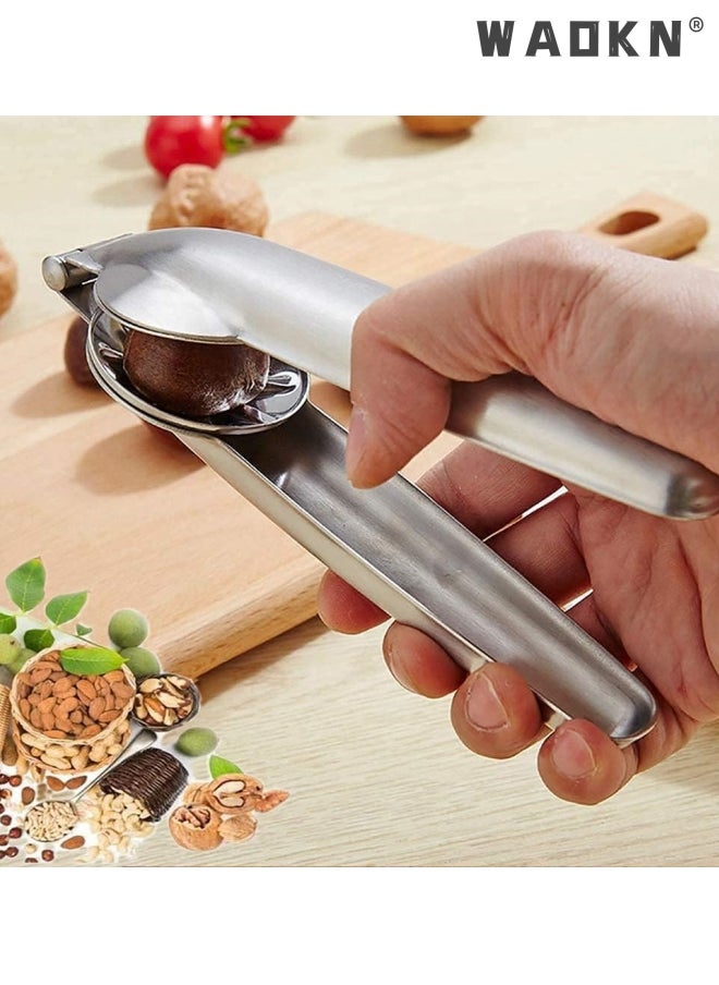 WAOKN Nutcracker Chestnut Clip, Nut Cracker Sheller Walnut Pliers, Metal Nut Opener Plier, 304 Stainless Steel Kitchen Tools , Nut Walnut Nut Opener Plier,Kitchen Dried Fruit Opener  - Image 3