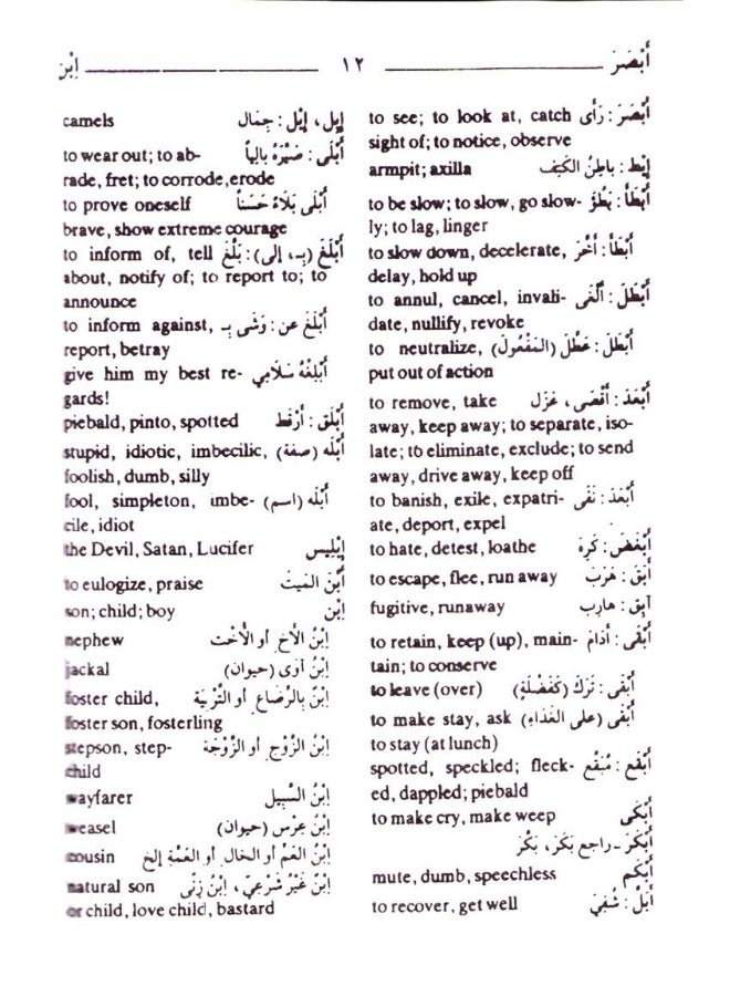 Al-Mawrid Al-Qareeb Arabic-English Dictionary - Image 3