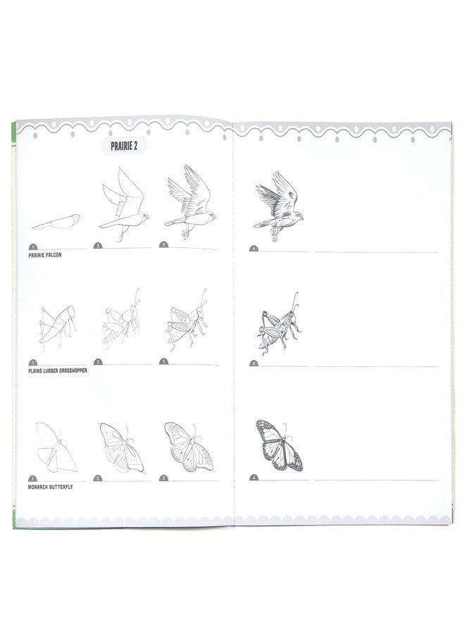 eeBoo: Learn to Draw - Bugs, Birds & Butterflies - 32 Page Activity Book & 50 Stickers Set, Fun Nature-Themed Step-by-Step Drawing & Coloring, Kids 5+ - Image 3
