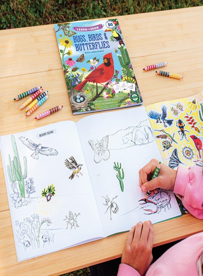 eeBoo: Learn to Draw - Bugs, Birds & Butterflies - 32 Page Activity Book & 50 Stickers Set, Fun Nature-Themed Step-by-Step Drawing & Coloring, Kids 5+ - Image 5