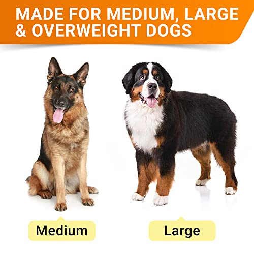 StrellaLab Senior Advanced Glucosamine Joint Supplement for Dogs - Hip & Joint Pain Relief - Small + Large Breeds -Omega-3 Fish Oil - Chondroitin, MSM- Mobility Soft Chews for Older Dogs - Chicken Flavor - 240Ct - Image 2