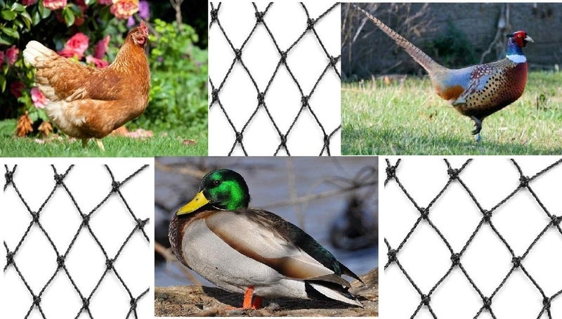 EXCURSIONS Aviary Netting Heavy Knotted 2 inch Poultry Net (25 ft x 50 ft) - Image 5