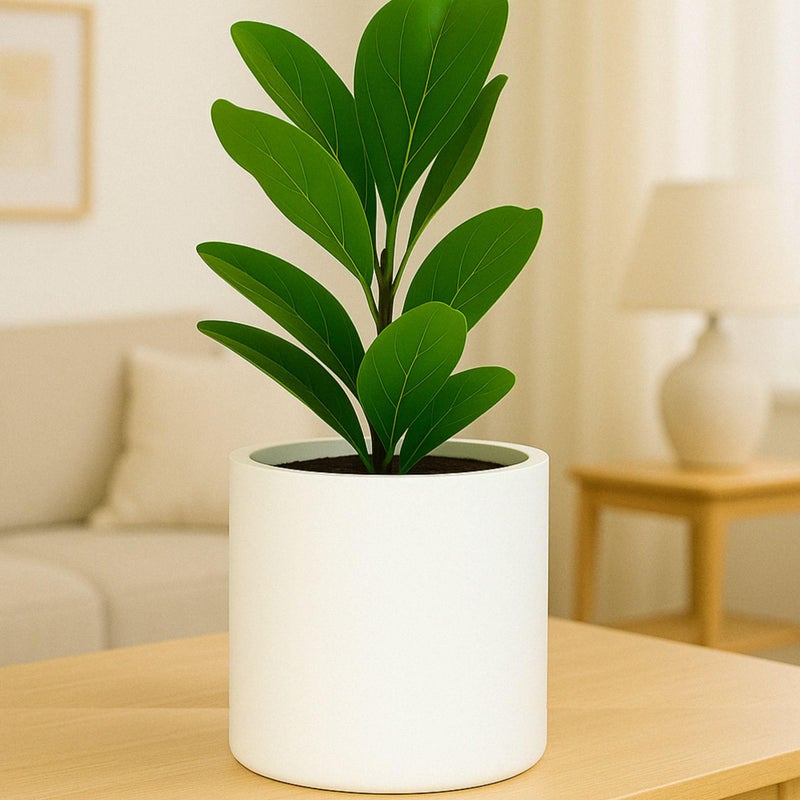 وعاء نباتات فوكس فيرن 10 بوصة مع صحن مخفي - وعاء مائي ذاتي من ألياف الحجر الخفيف بسطح أبيض غير لامع للاستخدام الداخلي والخارجي مقاوم للعوامل الجوية ومقاوم للأشعة فوق البنفسجية