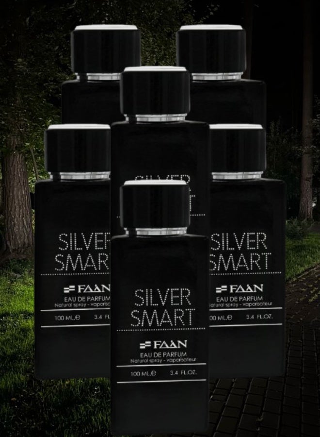 فاان 6 قطع عطر سيلفر سمارت 100مل - Image 1