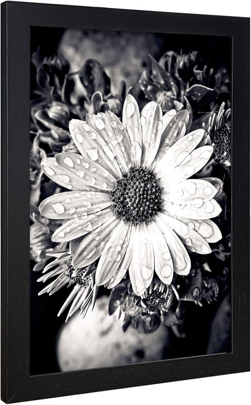 VCK Poster Frame 11x17 Set of 3, Wood Black Picture Frame, Wall Gallery Photo Frames, 3 Pack - Image 5