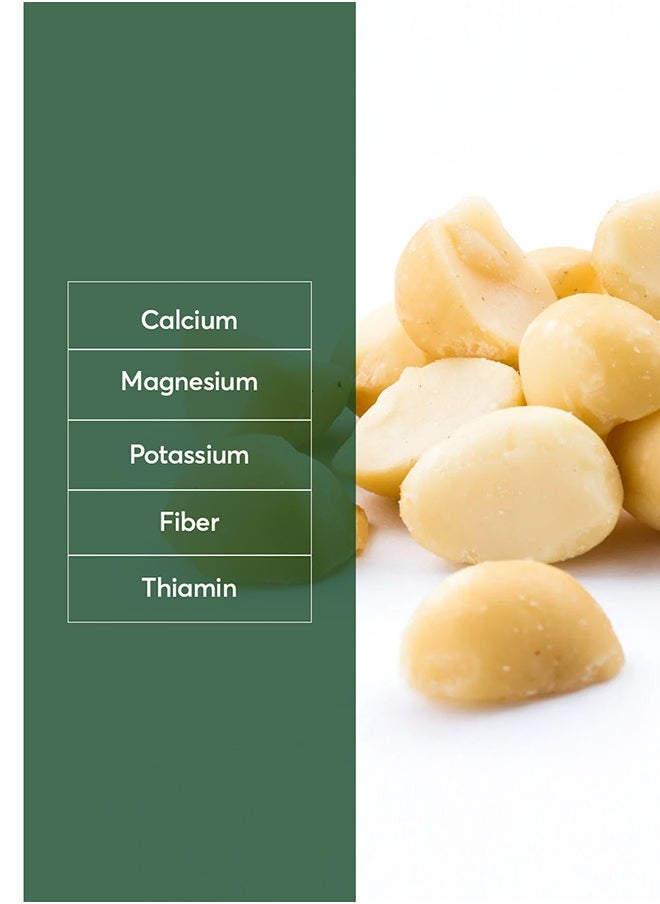 The Caphe Vietnam Premium Macadamia Nuts - 500 G | VIP Size Double Tank | Unsalted & Roasted | Premium Vietnamese Macadamia Nuts  - Image 2