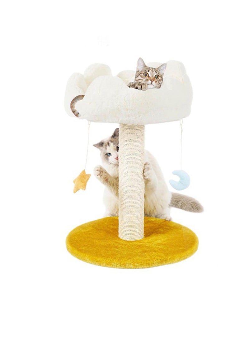 كيدل شجرة قطط أليفة