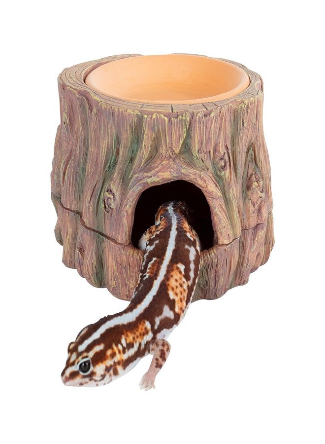 CAVACHEW 3 in 1 Reptile Hide Cave with Detachable Base & Humidity Dish, Essential Tank Terrarium Decor Humid Hideout Accessories for Small Reptiles Crested Gecko, Leopard Gecko, Lizard, Snake, Crabs - Image 1
