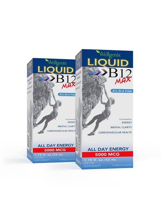 wellgenix B12 Max Liquid - Vitamin B6, B12 & Folate-High Absorption - Cardiovascular Health, Mental Clarity, Energy Boost & Weight Loss - 1.75oz, 2 Pack - Image 1