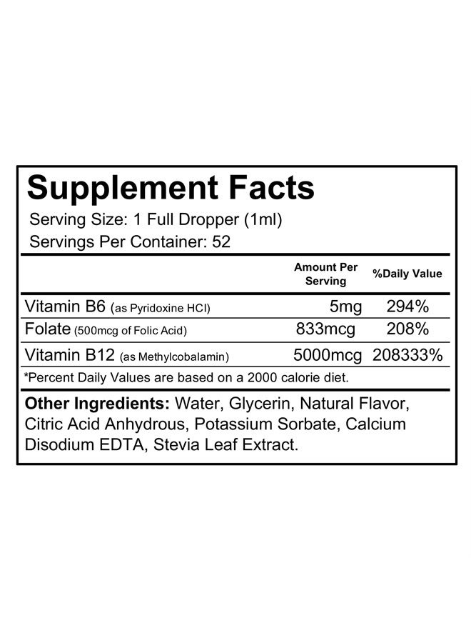 wellgenix B12 Max Liquid - Vitamin B6, B12 & Folate-High Absorption - Cardiovascular Health, Mental Clarity, Energy Boost & Weight Loss - 1.75oz, 2 Pack - Image 4