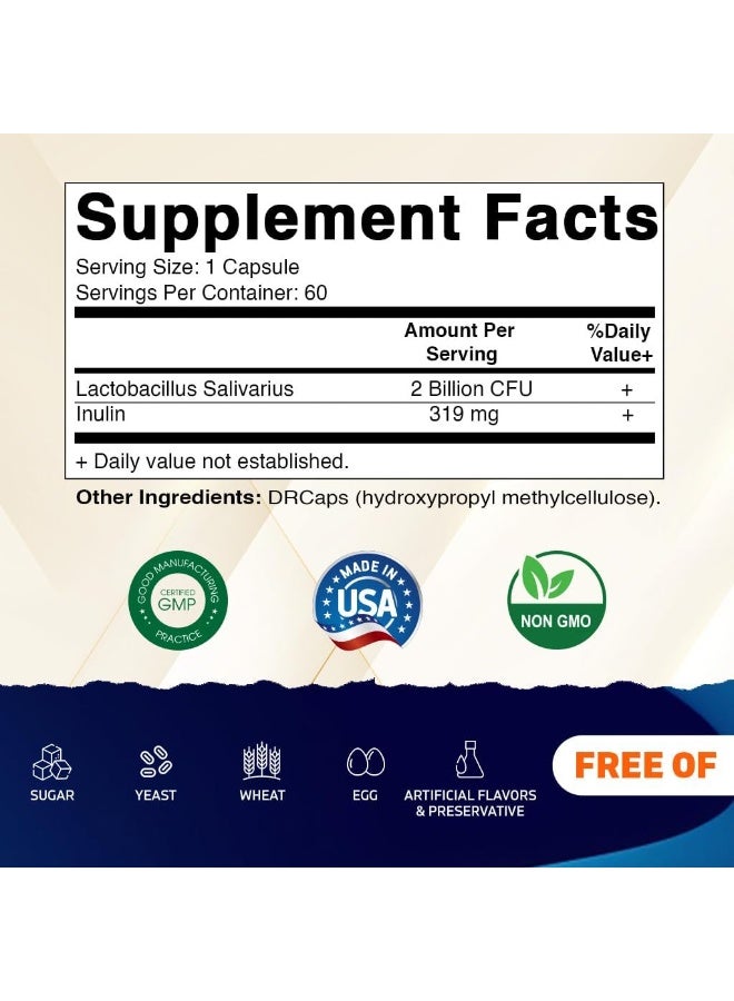 Vitamatic Lactobacillus Salivarius 2 Billion per DR Capsule - 60 Count - Digestive Support - Made with Prebiotic Inulin Fiber - Image 2
