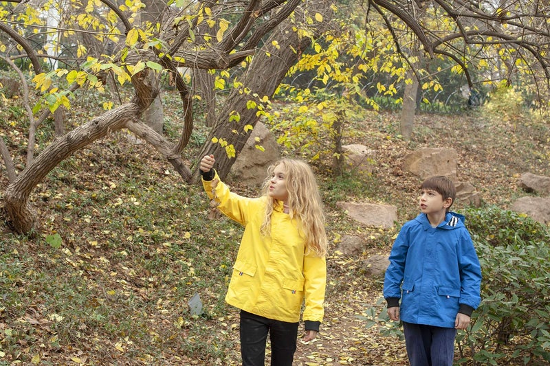Hiheart Boys&Girls Waterproof Hooded Jackets Cotton Lined Rain Jackets (3T, Yellow) - Image 4