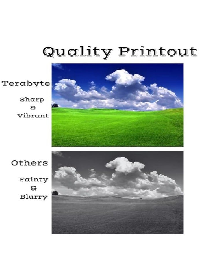 Terabyte 4-Pack Laserjet Toner Cartridge for 203A CF540A Printer Multicolour - Image 3