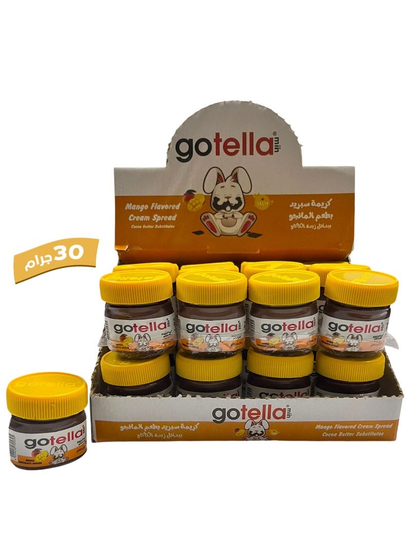 gotella Mini Mango Chocolate Spread 30 gm pack 24 pieces - pzsku/ZA7ED371762D8C7D40E84Z/45/_/1736609853/491d562f-de21-42bf-be74-4e175ffc3546