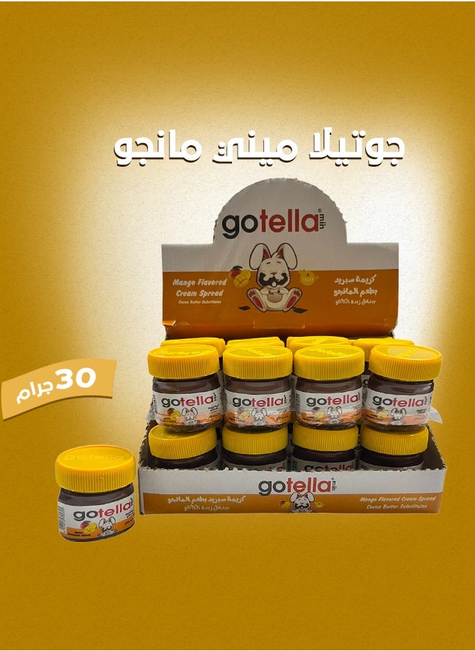 gotella Mini Mango Chocolate Spread 30 gm pack 24 pieces - pzsku/ZA7ED371762D8C7D40E84Z/45/_/1736609863/45a5760c-b112-407b-a074-abed6ca99db4