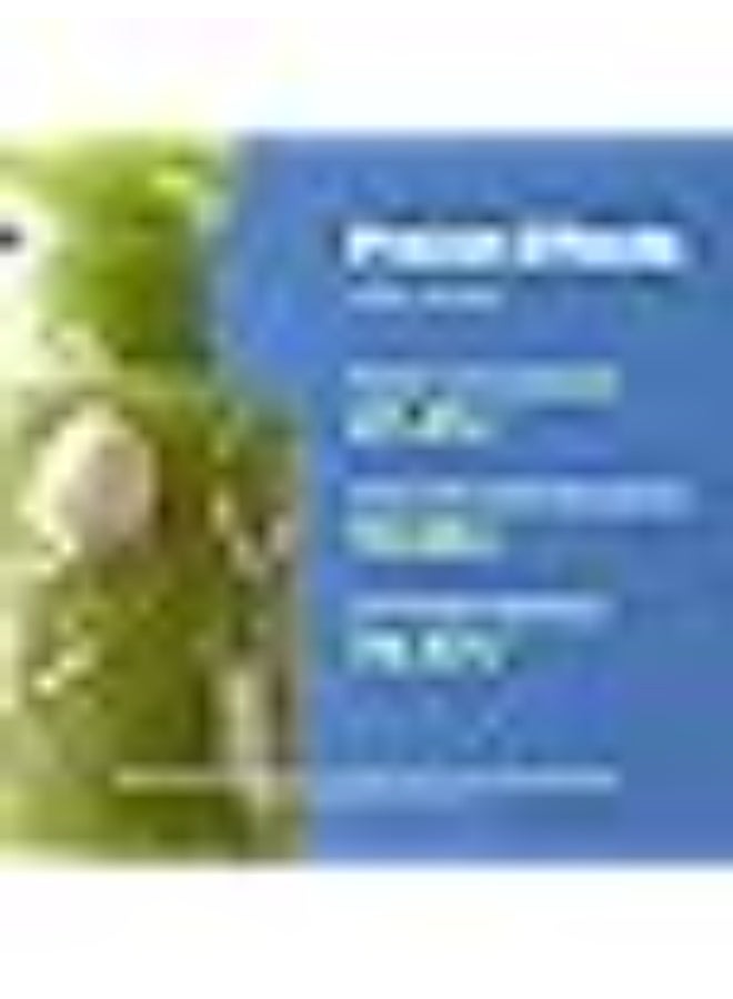 باي ويشترند غسول رغوي حليبي بالشاي الأخضر والإنزيمات من ويشترند، 140 مل - Image 3