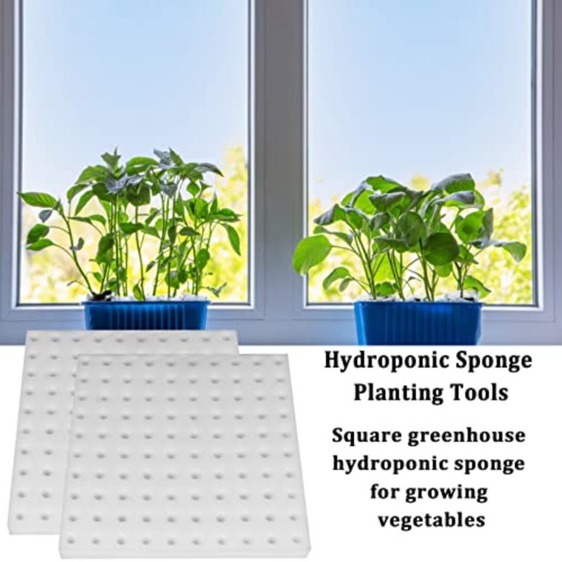200 PCS Hydroponic Sponge Seedling Starter Cubes Square Planting Sponges for Greenhouse Indoor Hydroponics For Small Bud Growth Vegetable Propagation Eco-Friendly Reusable Foam - Image 4
