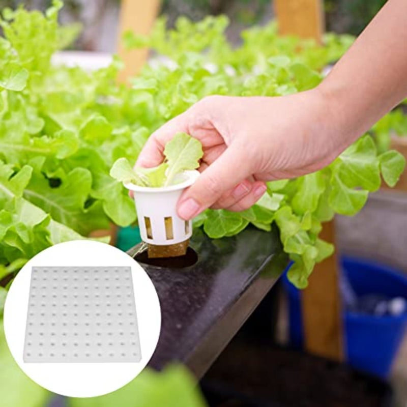 200 PCS Hydroponic Sponge Seedling Starter Cubes Square Planting Sponges for Greenhouse Indoor Hydroponics For Small Bud Growth Vegetable Propagation Eco-Friendly Reusable Foam - Image 5