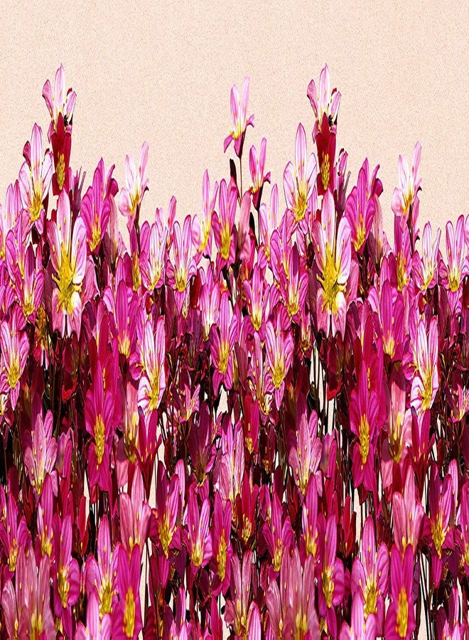 WallDesign Vinyl Decorative Carolina Rose Flowers Nature Wall Border - 5.25 Inch Width By 5 Ft Length - Image 1