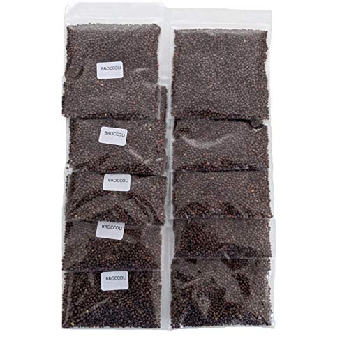 NATURAL ROOTS Broccoli Sprouting Seeds for Sprouts and Microgreens. Non-GMO. Pack of 10 premeasured Seeds for 32oz Jars and 8 inch Trays. - Image 1