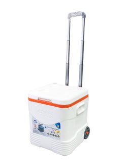 عربة نزهة KC من Cosmoplast صندوق ثلج 30 أبيض