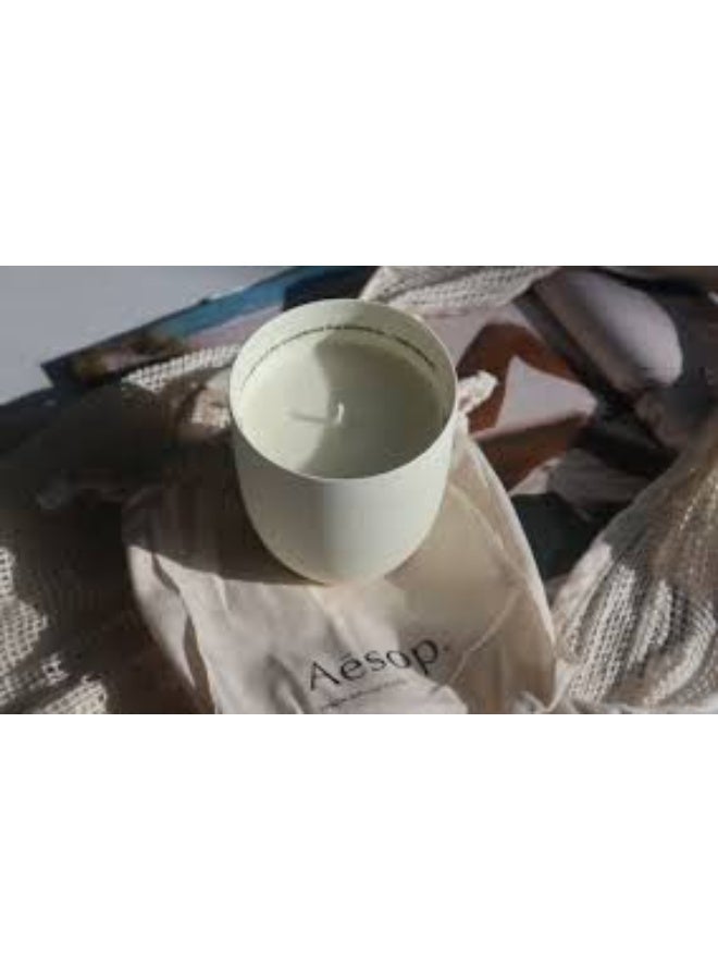 أيسوب ايسوب اغانيس شمعة عطرية 310 جرام - Image 2