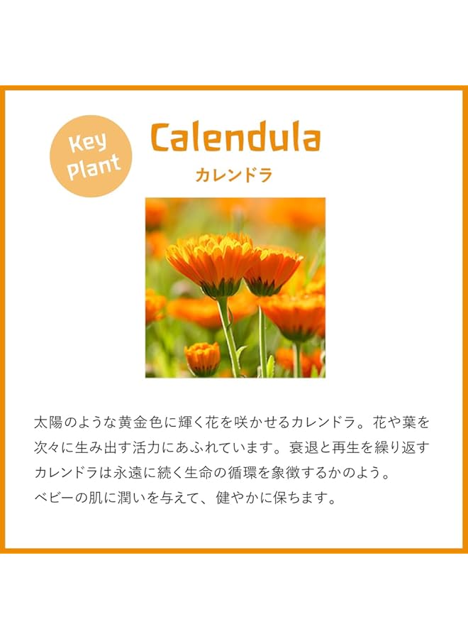 Weleda Calendula Bath 200 Ml - Image 3