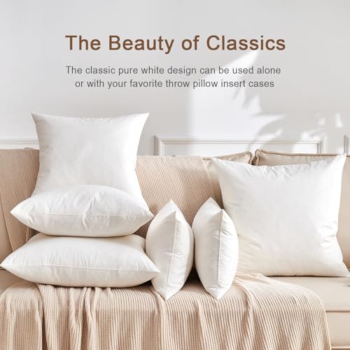 KUSNUG Organic Feather Down Lumbar Pillow Inserts (12x20 Inch, Set of 2) - 100% Cotton Shell, Filling of Feathers & Memory Foam, Rectangular Decorative Pillow Form Core for Couch, Sofa, and Bed - Image 2