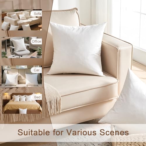 KUSNUG Organic Feather Down Lumbar Pillow Inserts (12x20 Inch, Set of 2) - 100% Cotton Shell, Filling of Feathers & Memory Foam, Rectangular Decorative Pillow Form Core for Couch, Sofa, and Bed - Image 4