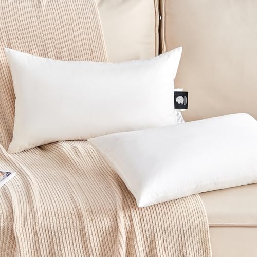 KUSNUG Organic Feather Down Lumbar Pillow Inserts (12x20 Inch, Set of 2) - 100% Cotton Shell, Filling of Feathers & Memory Foam, Rectangular Decorative Pillow Form Core for Couch, Sofa, and Bed - Image 1