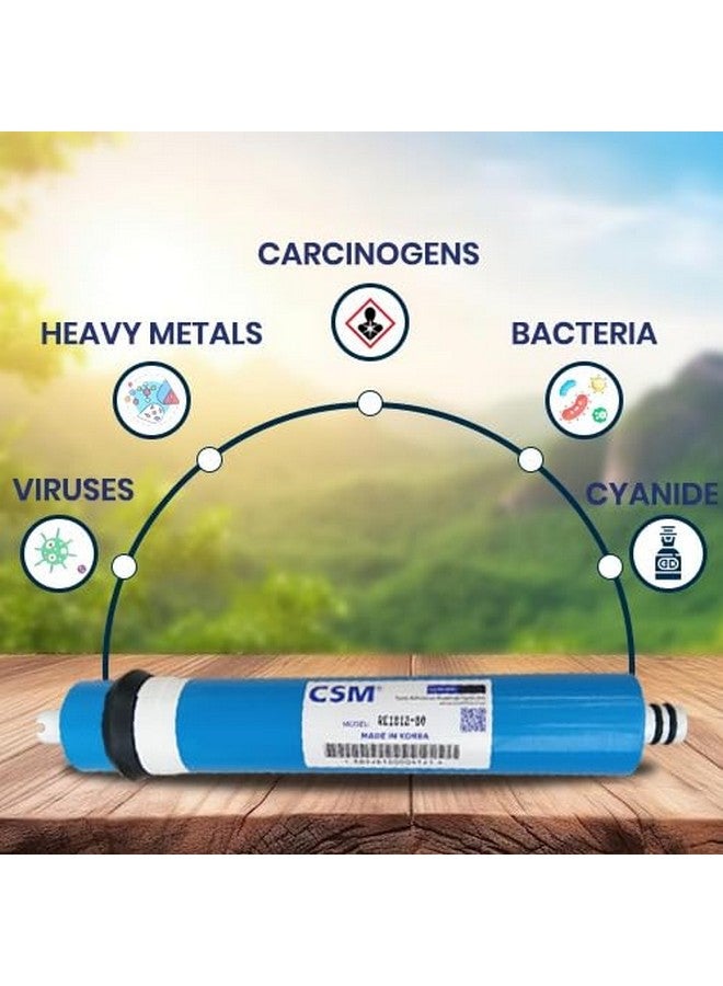 CSM Made in Korea 80 GPD RO Genuine Membrane Filter Cartridge - Reduces TDS by 96%-98% - Compatible with Most RO System - Image 3
