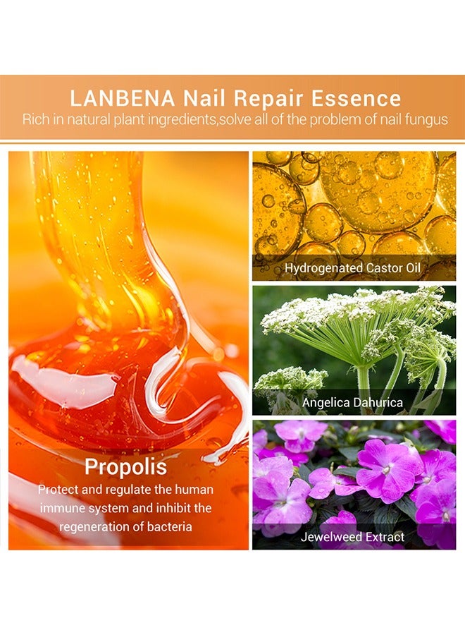 LANBENA Nail Repair Essence Serum, Nail repair, repairs and renews damaged, broken, cracked and discolored nails (15ml)  - Image 4