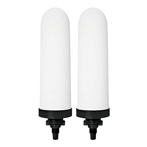 RAMA Spirit 7" Ceramic Candle for Stainless Steel Water Filter and Purifier for Home l Advanced 3 Stages Filtration with Granular Activated Carbon- Pack of 2 - Image 1