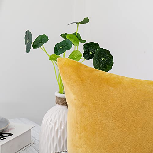NiNi ALL Decorative Throw Pillow Covers Velvet Soft for Couch Sofa Bedroom Living Room Outdoor Pack of 2 18x18 Inch Yellow - Image 2