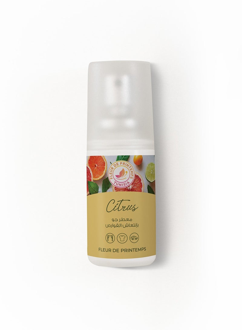 Fleur De Printemps Citrus Air Freshener Spray | 30ml | Energizing & Fresh Aroma | Gas-Free & Anti-Smoking | Ideal for Home, Car, Office - Image 2