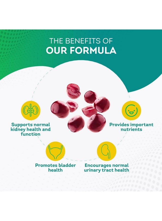 PUREPREMIUM SUPPLEMENTS مكملات بيور بريموم - دعم الكلى مع مستخلص التوت البري والأستراجالوس - مكمل صحة الكلى للجهاز البولي، المثانة، التنظيف، إزالة السموم والإصلاح - 60 حبة توت بري للنساء والرجال - Image 5