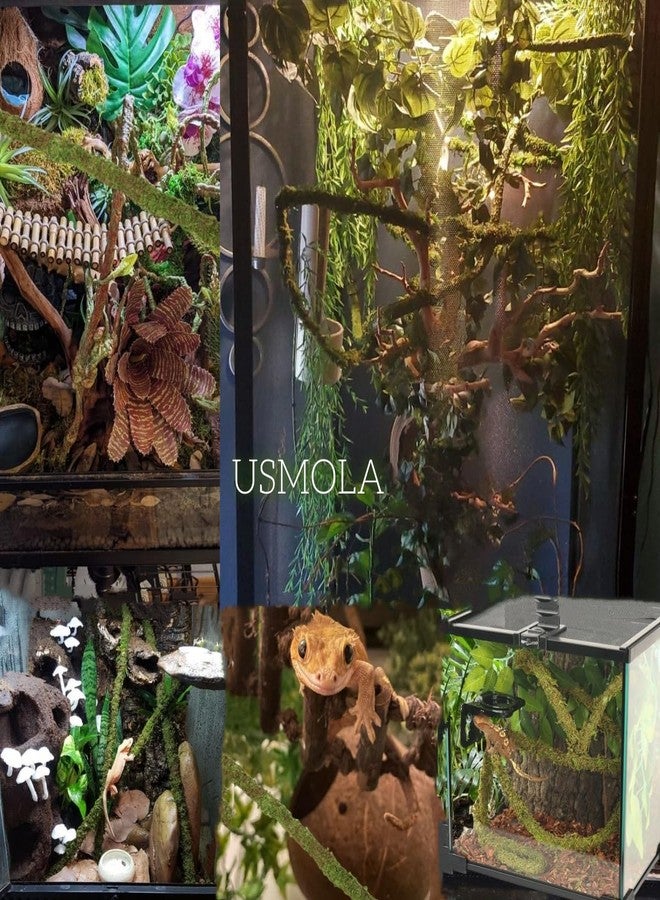 USMOLA Moss Vine for Reptiles, Bendable Climbing Vines Reptile Tank Accessories, Natural Moss Rope for Leopard Gecko, Lizard, Snake, Chameleon, Frog Terrarium Decor (Jungle Green, 6.5 FT) - Image 3