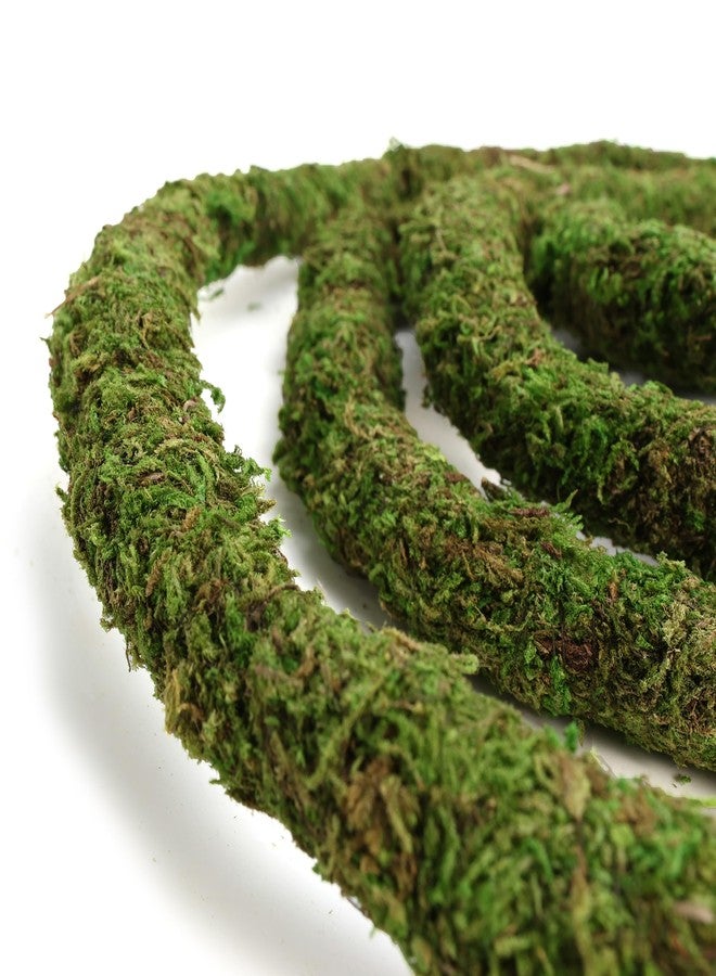 USMOLA Moss Vine for Reptiles, Bendable Climbing Vines Reptile Tank Accessories, Natural Moss Rope for Leopard Gecko, Lizard, Snake, Chameleon, Frog Terrarium Decor (Jungle Green, 6.5 FT) - Image 5