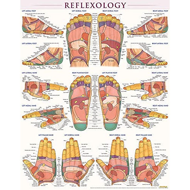 ReflexologyLaminated